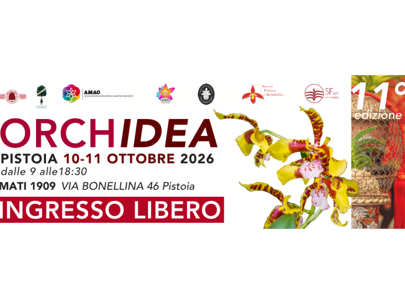 ORCHidea 2026 a Pistoia, mostra mercato di orchidee e piante rare: 10-11 ottobre 2026, Mati 1909, Via Bonellina 46, ingresso libero